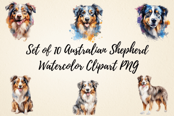 Australian Shepherd Watercolor Clipart Illustrations