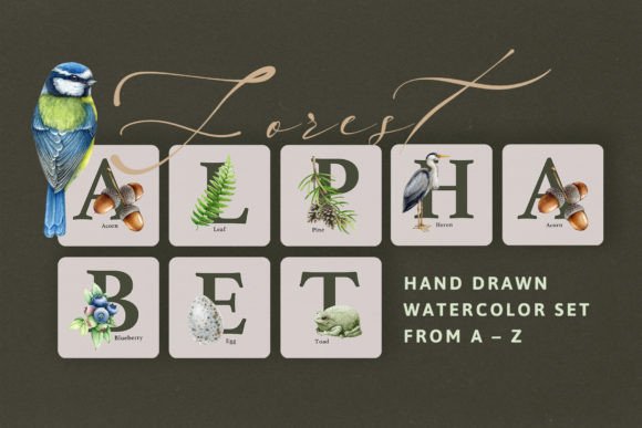 Forest Alphabet Watercolor Set: Illustrations for Branding