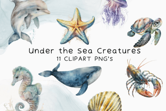 Sea Clipart Fish Watercolor Illustrations Review