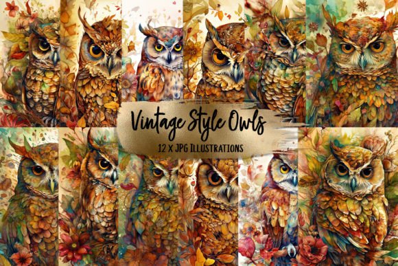 Vintage Style Watercolor Autumn Owls Illustrations Review