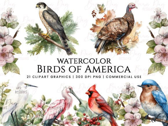 Watercolor Birds of America Clipart Illustrations