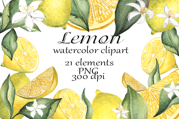 Watercolor Clipart Lemons PNG Illustrations