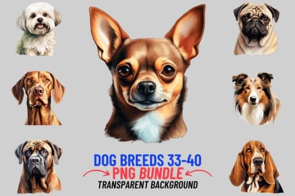 Watercolor Dog Breeds Sublimation 33-40 Illustrations Review