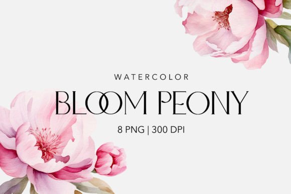 Watercolor Peony Magnolia Flowers Illustrations