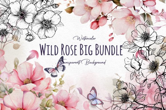 Watercolor Wild Rose Illustrations Bundle Review