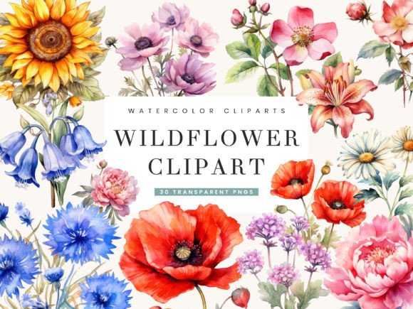 Watercolor Wildflower Clipart Bundle: Editorial Illustrations