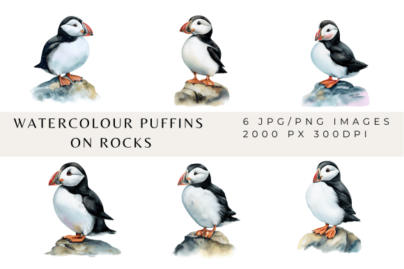 Watercolour Puffin Images: Illustrations for Branding