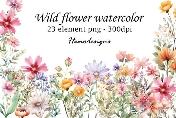 Wild Flower Watercolor Illustrations for Editorial Design